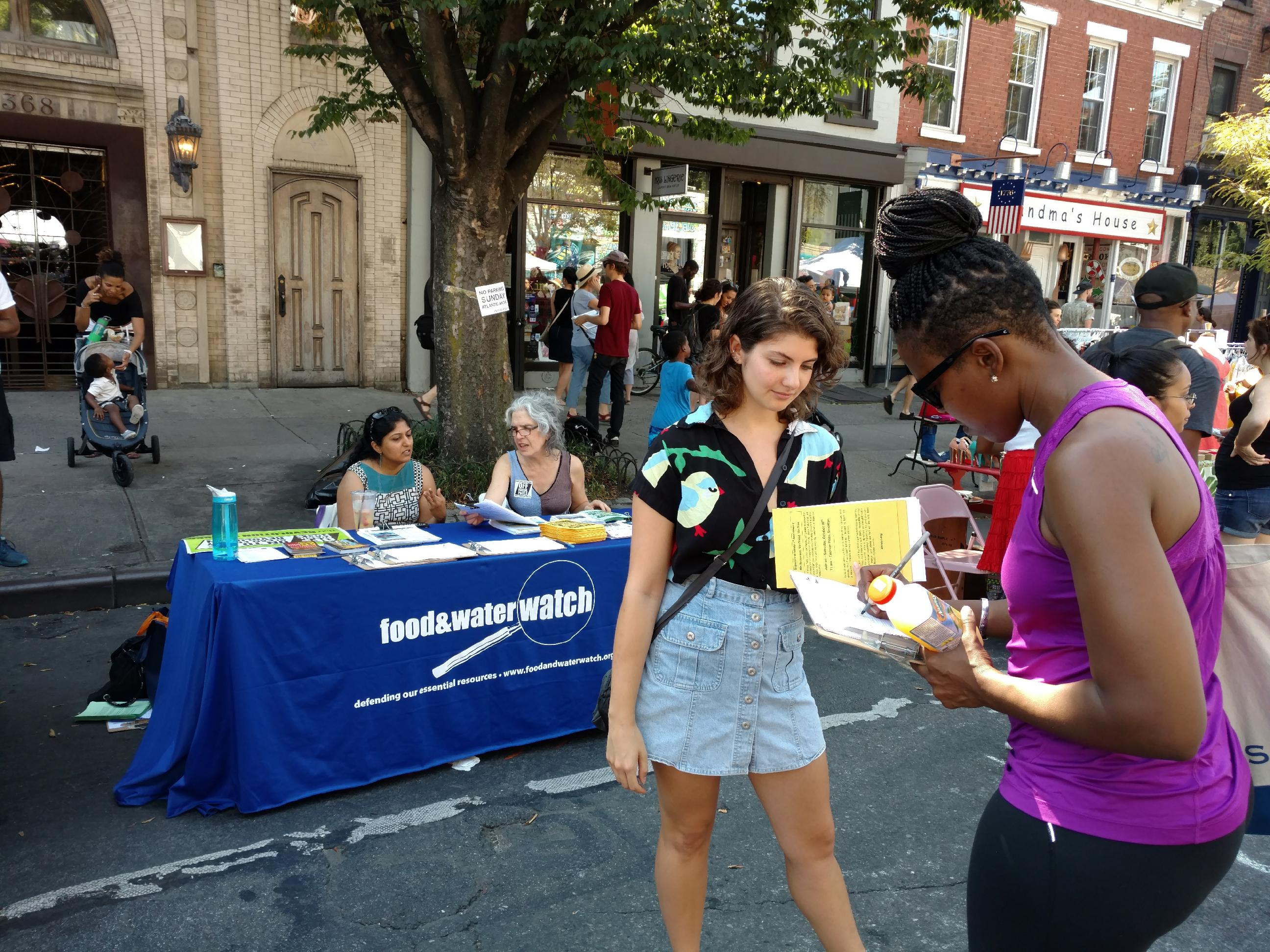 Brooklyn, NY: Tabling at the Atlantic Antic