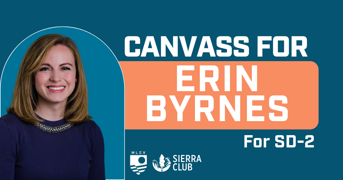 Canvass for Erin Byrnes for State Senate!