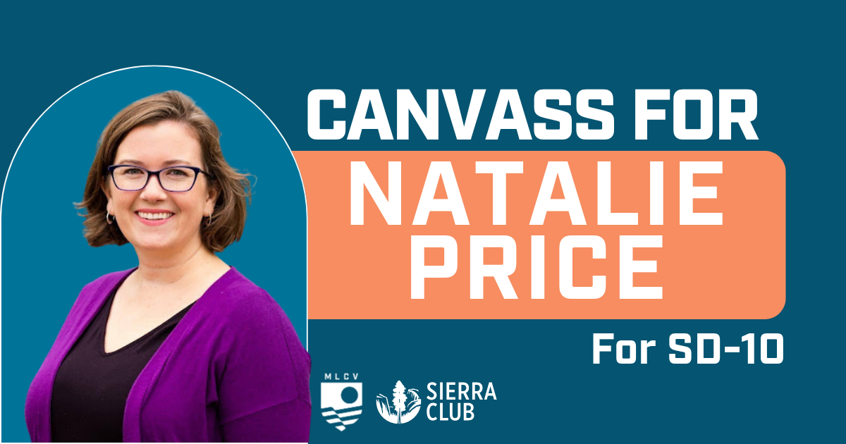 Canvass for Natalie Price for State Senate!