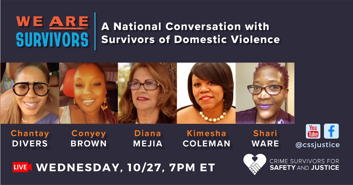 We Are Survivors: A National Conversation with Survivors of Domestic ...