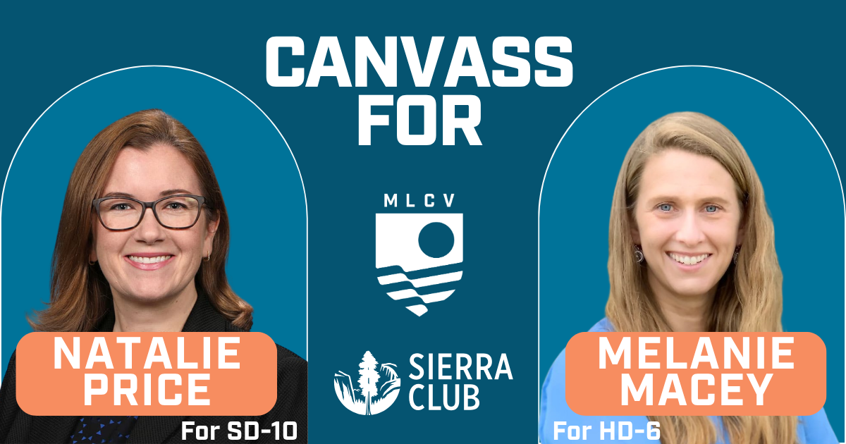 Canvass for Natalie Price for State Senate and Melanie Macey for State Rep!