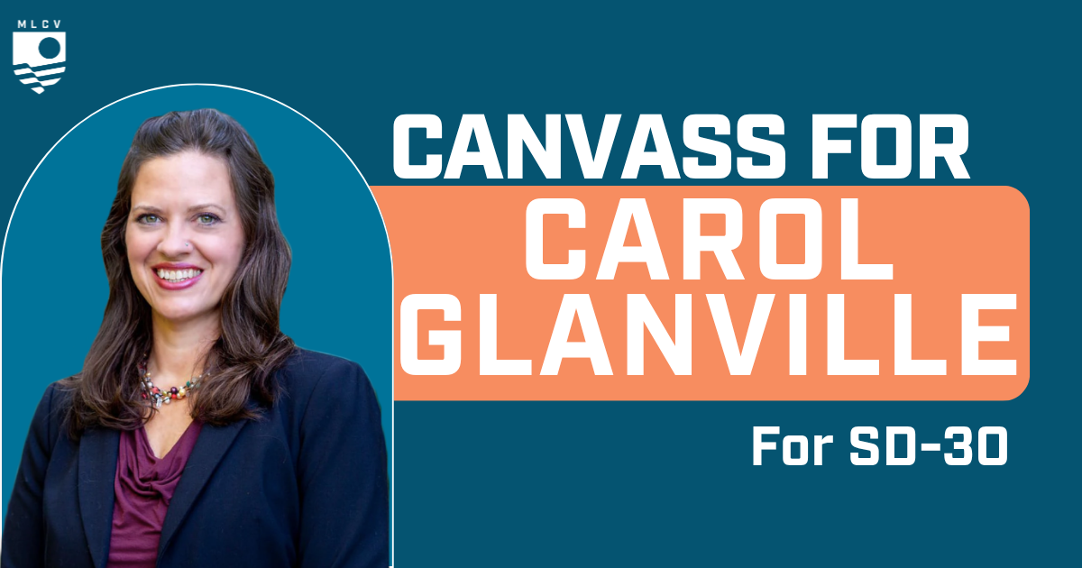 Canvass for Rep. Carol Glanville for State Senate