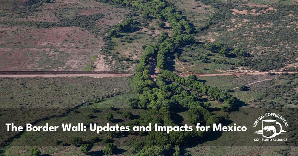 The Border Wall: Updates and Impacts for Mexico · Sky Island Alliance