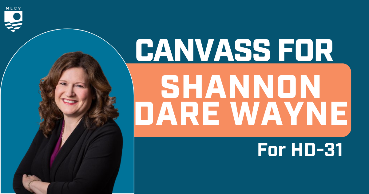 Canvass for Shannon Dare Wayne for State House!