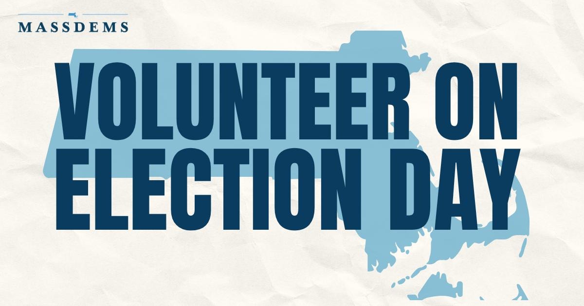 Volunteer Interest Form: Election Day image