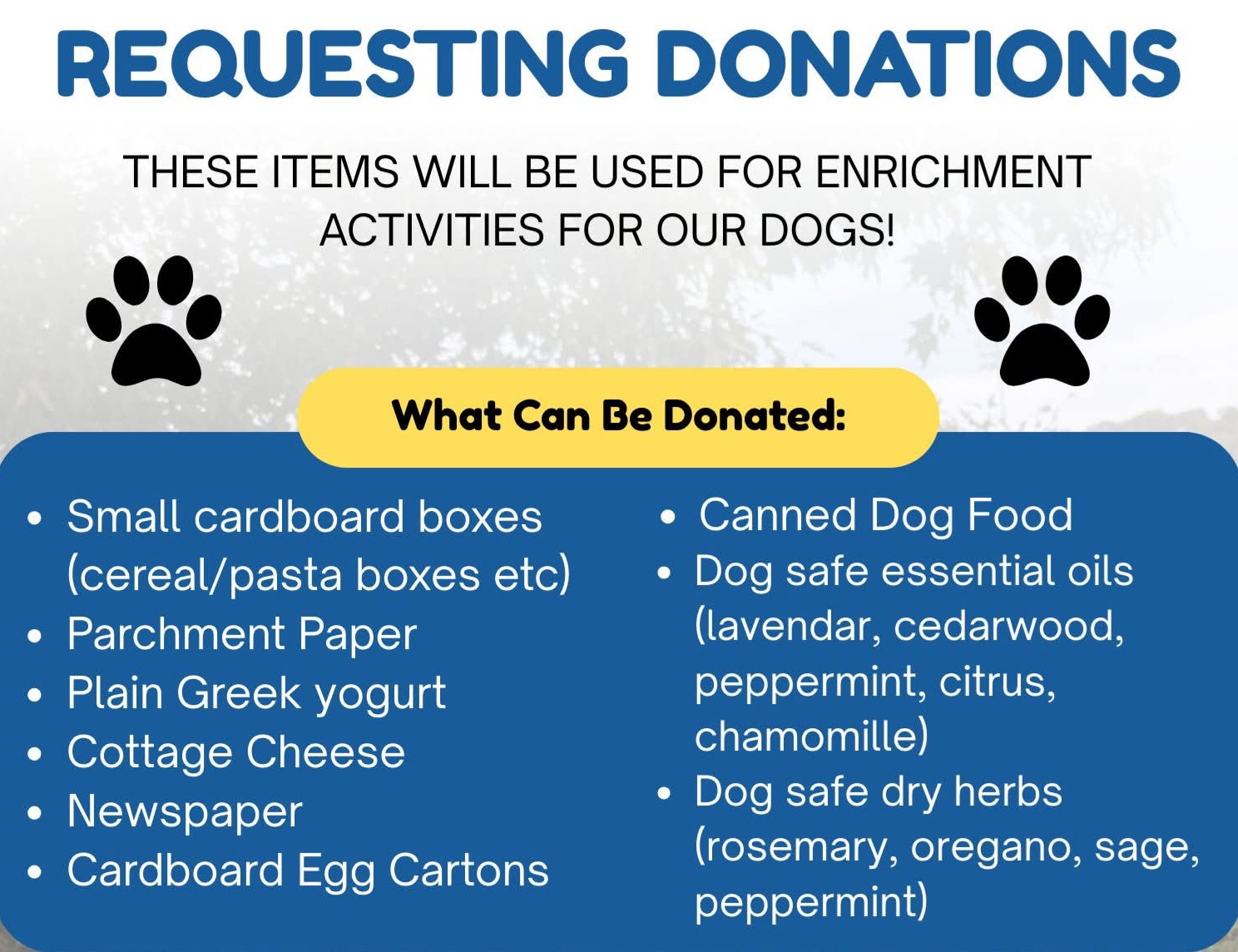 Office Hours Lite: Collecting Contributions for Dogs