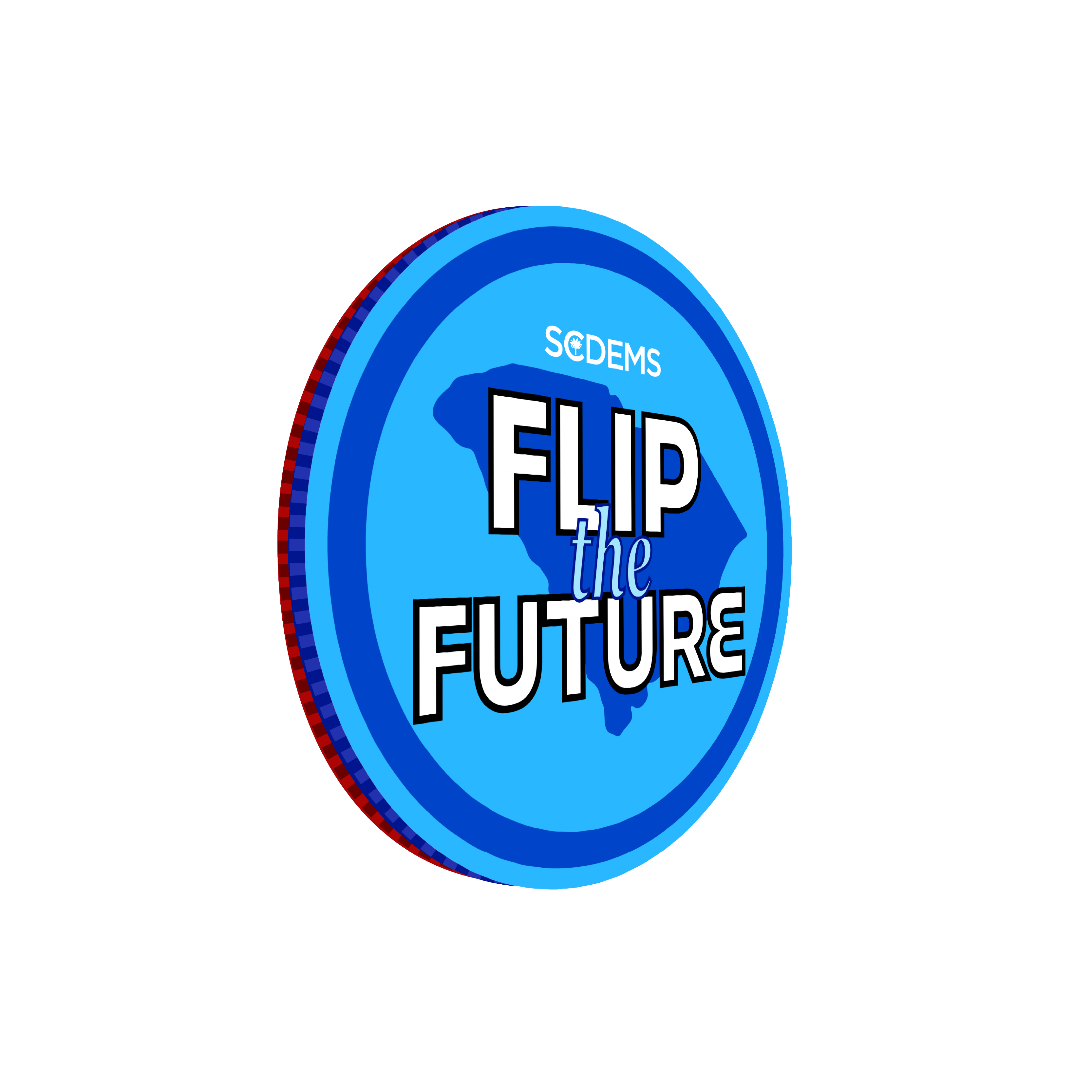 Flip the Future: Canvassing in York County image