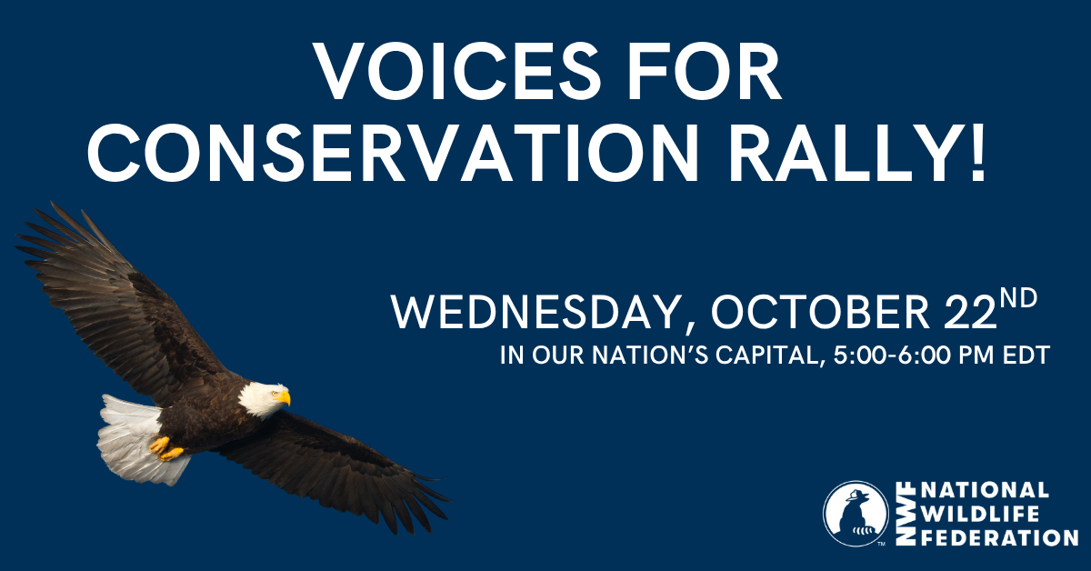 Voices for Conservation Rally · Mobilize