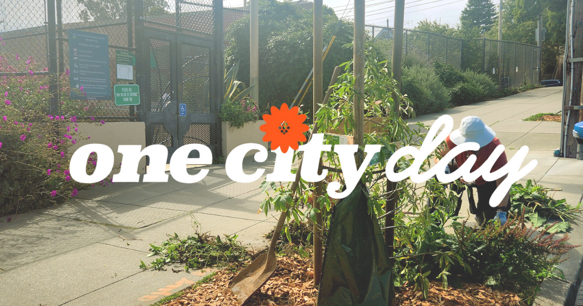 One City Day: neighborhood tree wells cleanup organized by One City Day