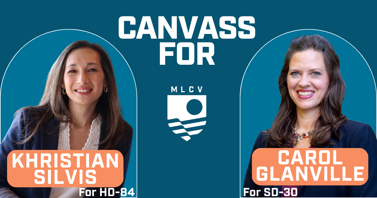 Canvass for Carol Glanville for State Senate & Khristian Silvis for State Representative