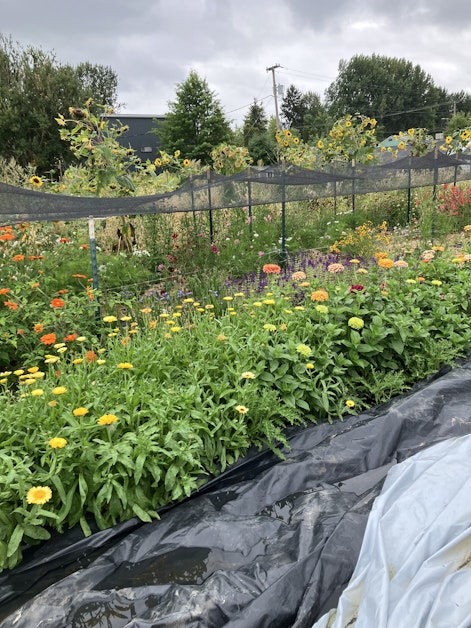 Unity Farm Fall Work Party · Oregon Food Bank