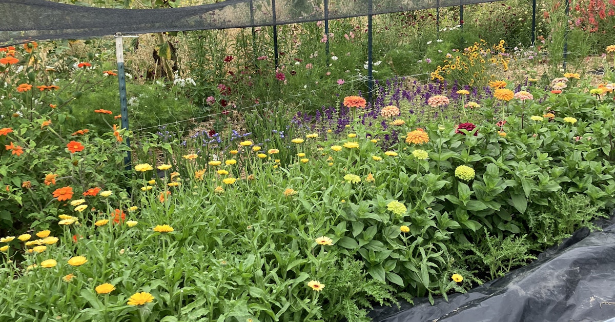 Unity Farm Fall Work Party ยท Oregon Food Bank