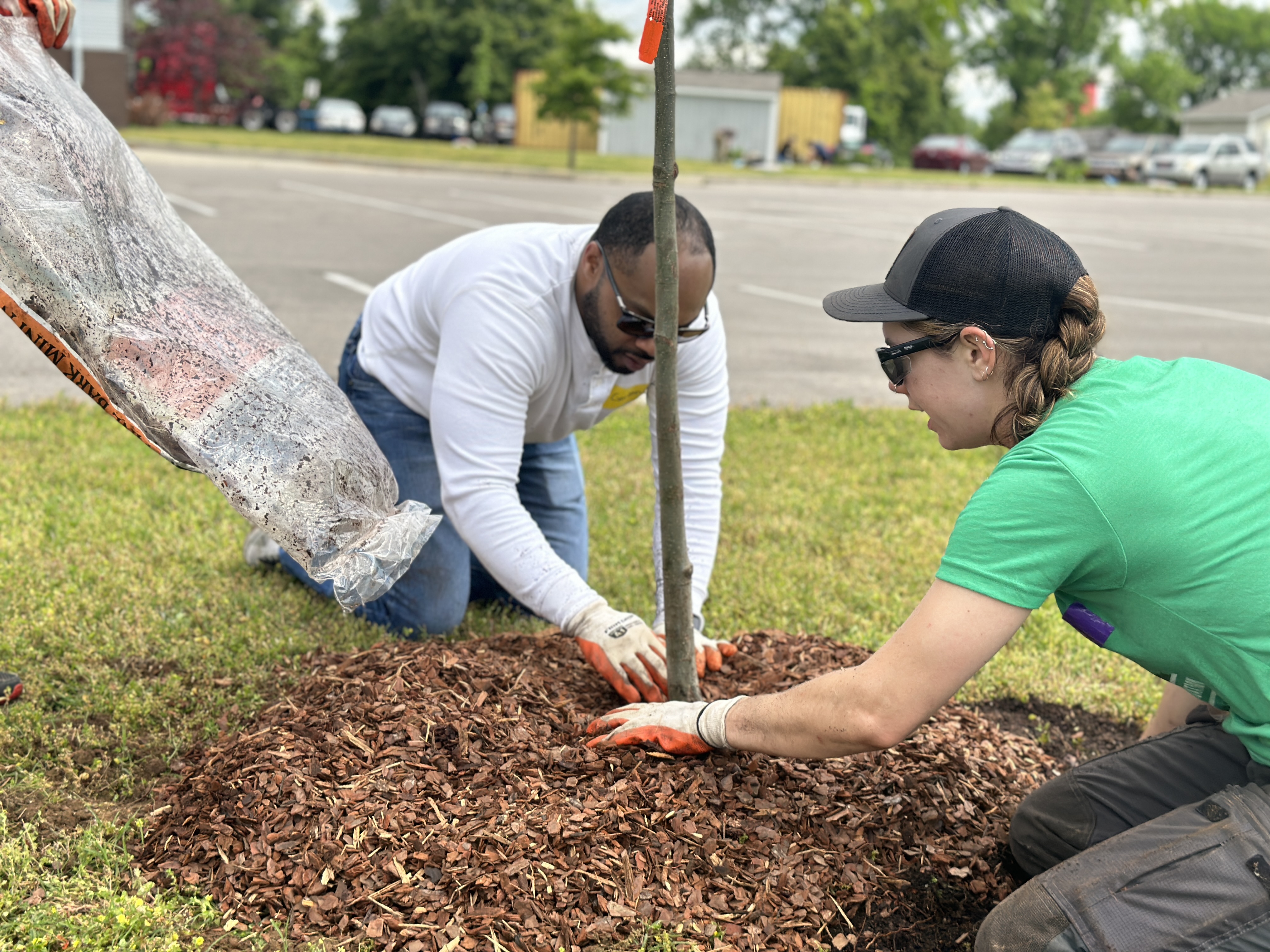 23rd Annual ReLeafing Day: Hanover Square