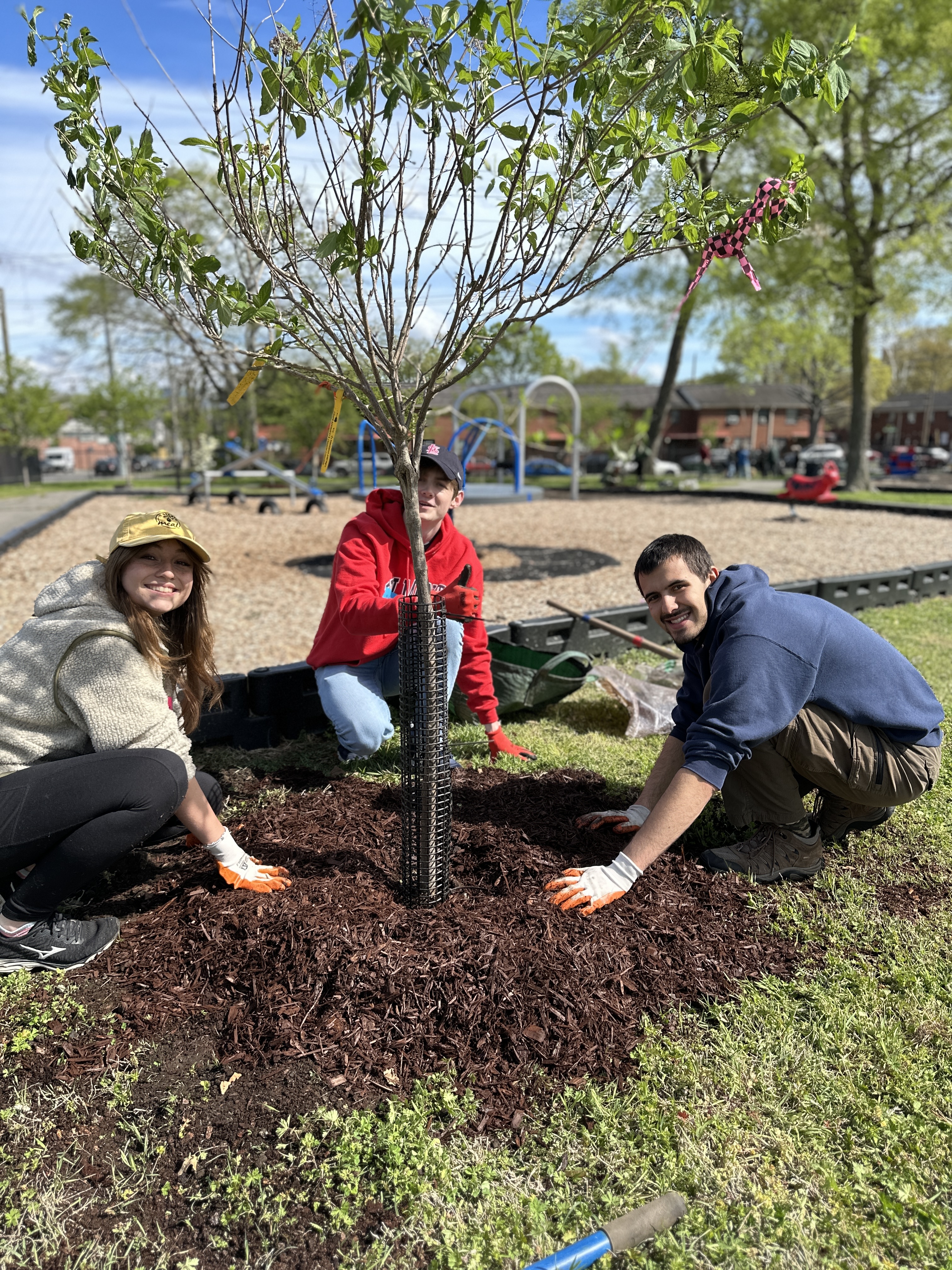 TSU Tree Maintenance Project