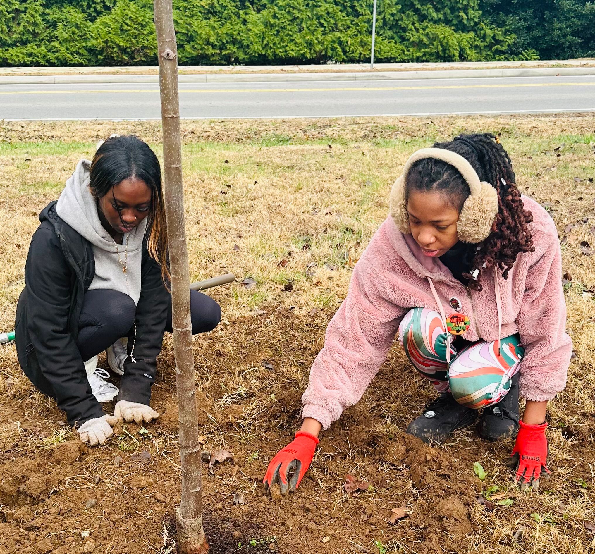 Norman Binkley Elementary School Tree Planting Project