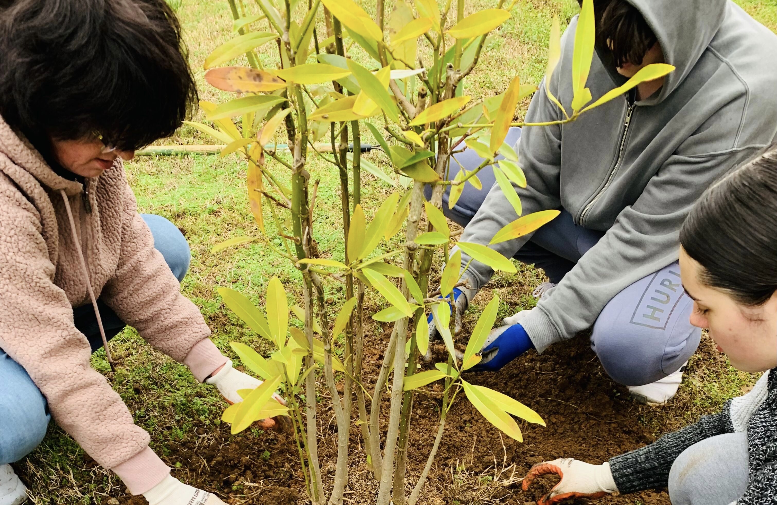 Growing with Pride Tree Planting Project