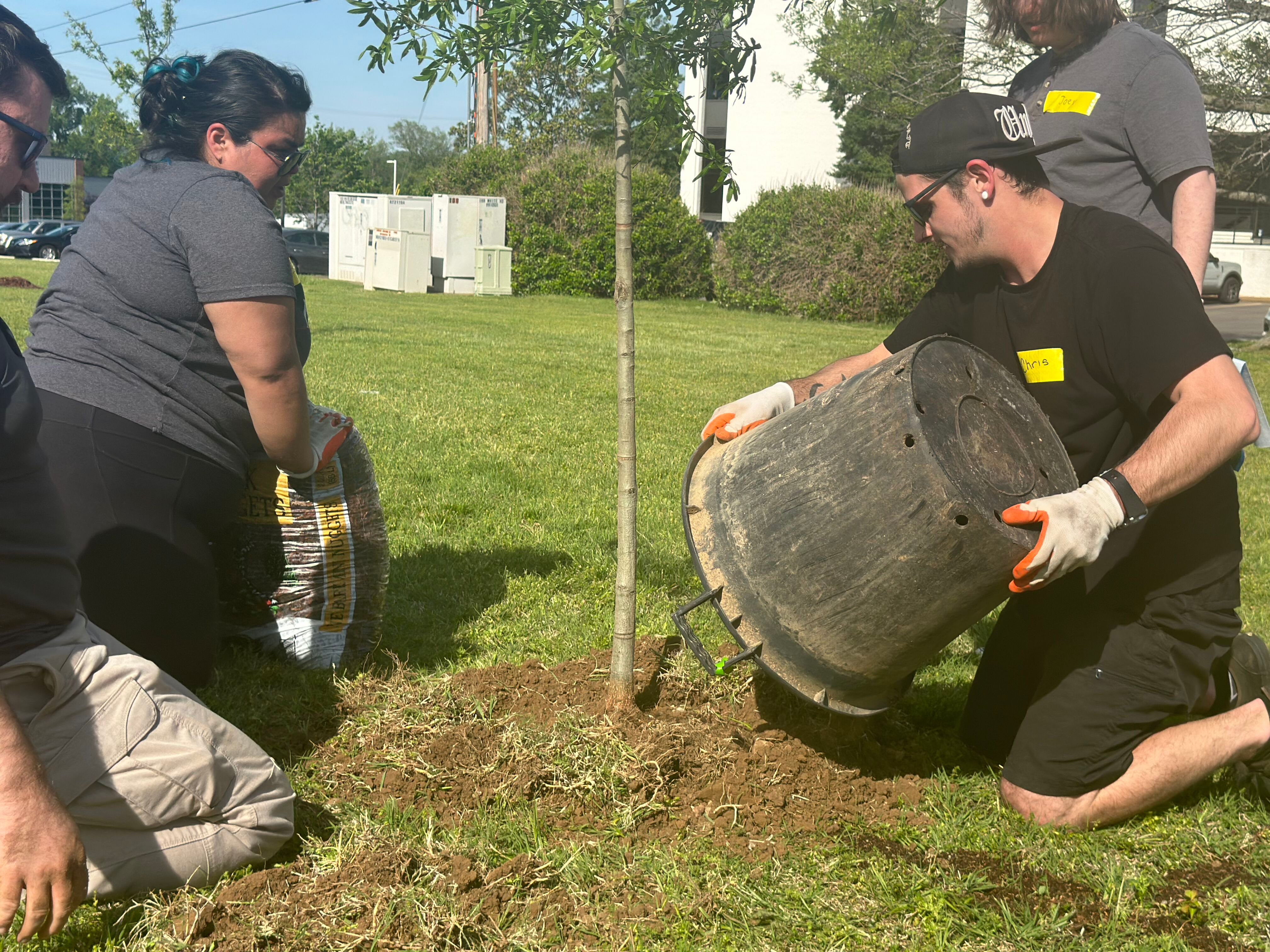 Belle Meade United Methodist Church Tree Maintenance Project
