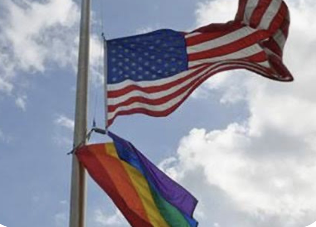 LGBT+ Massachusetts Democrats image