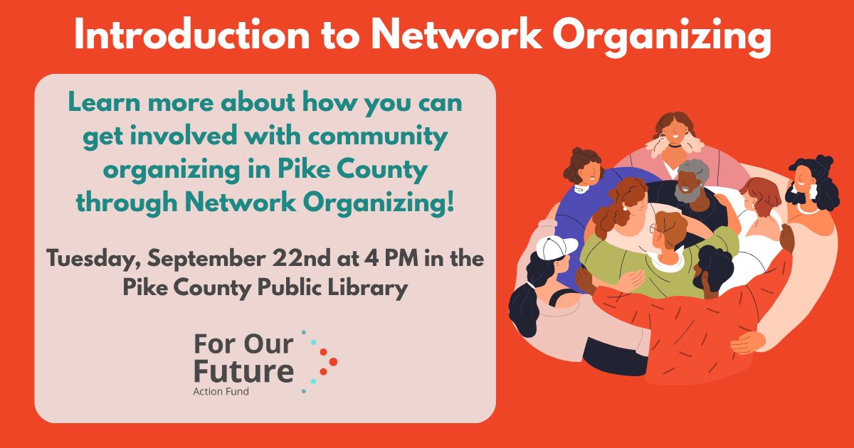 Introduction to Network Organizing