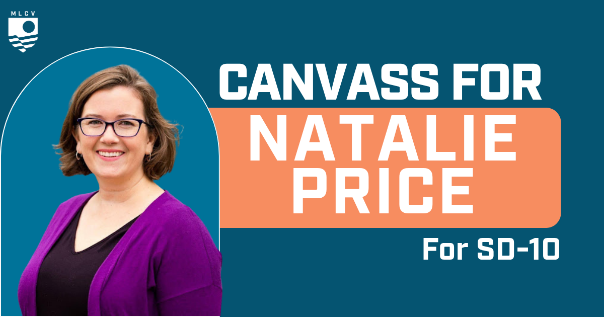 Canvass for Natalie Price for State Senate!
