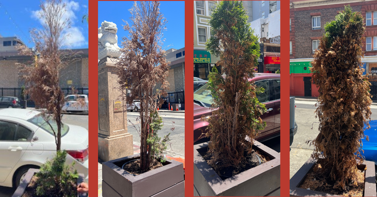 Little Saigon Street Tree Restoration · Mobilize