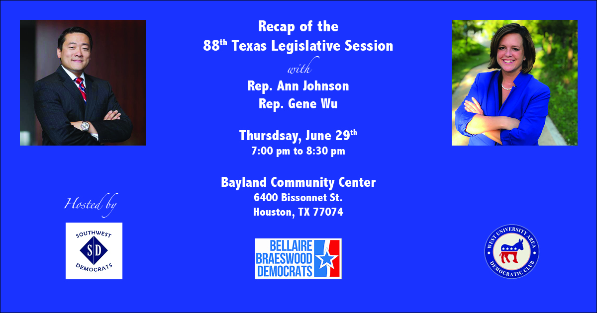 Recap Of The 88th Texas Legislative Session With Rep. Ann Johnson And ...