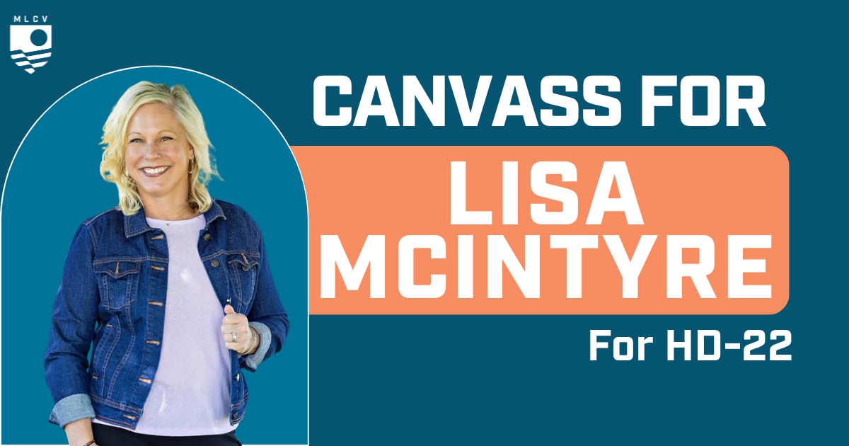 Canvass for Lisa McIntyre for State House!