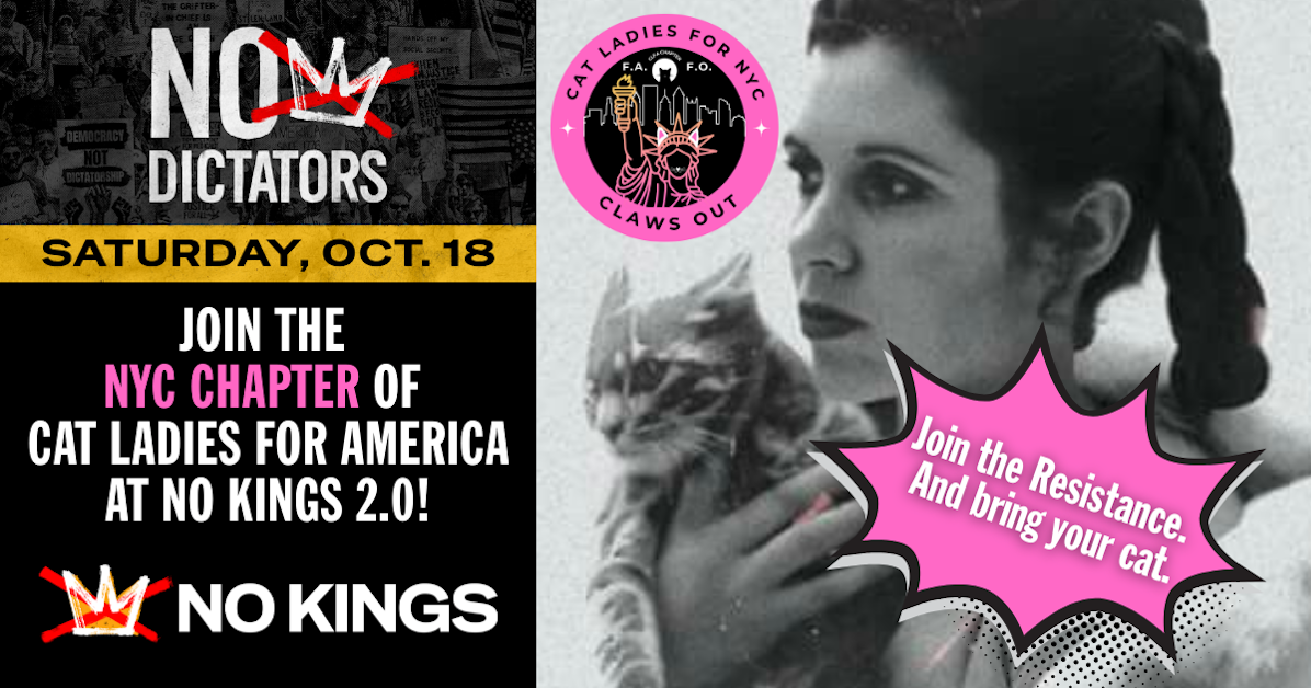 NO KINGS, JUST CATS! Rally meet up with NYC Cat Ladies for America ...