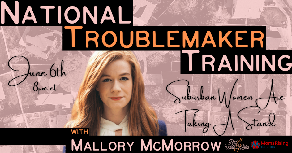 National Troublemaker Training with Mallory McMorrow organized by Red Wine and Blue