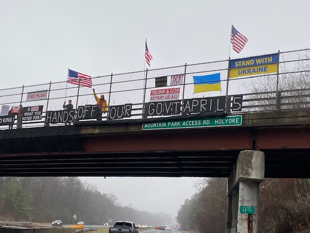 Workshop for Visibility Brigade Protests organized by Swing Blue Alliance