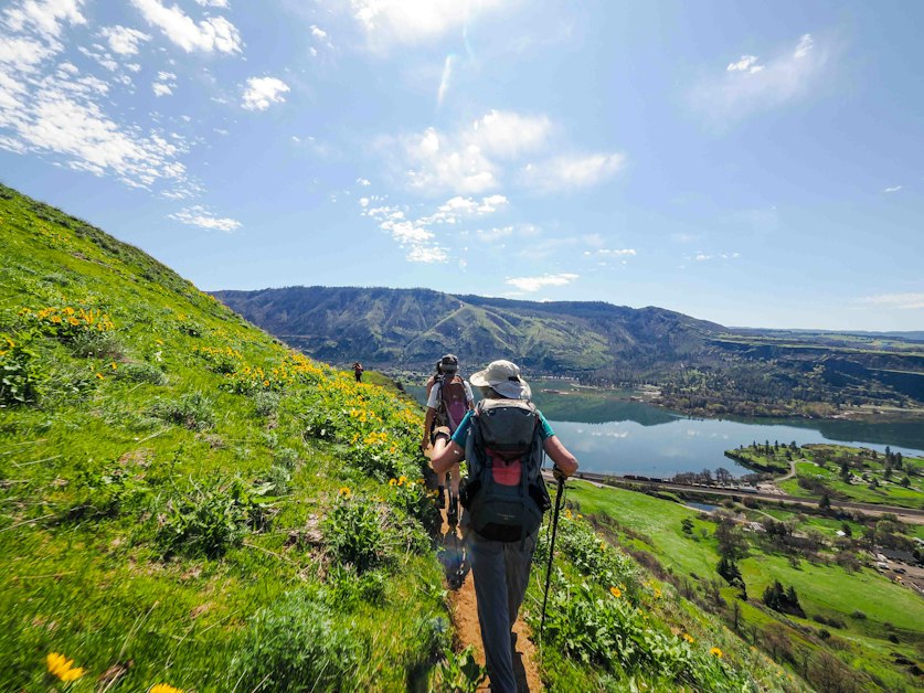Spring Wildflowers & Discovery Loop Hike at Lyle Cherry Orchard ...