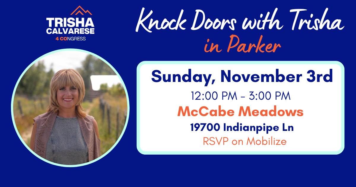 Knock Doors with Trisha in Parker image