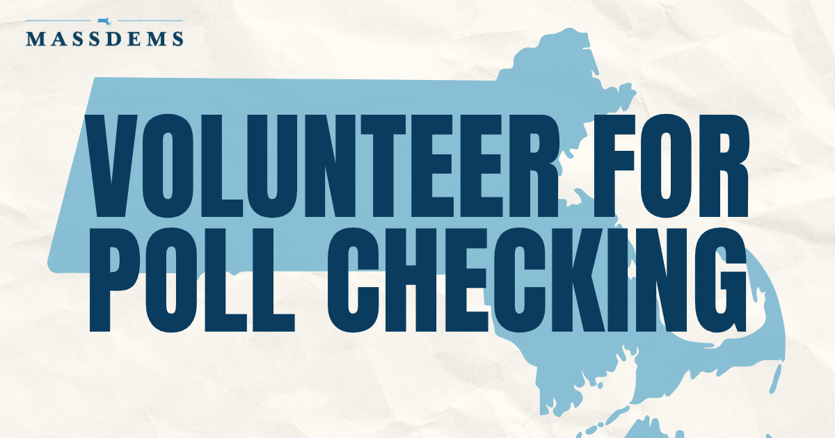 Copy of: Get Out The Vote: Poll Checker Volunteer image