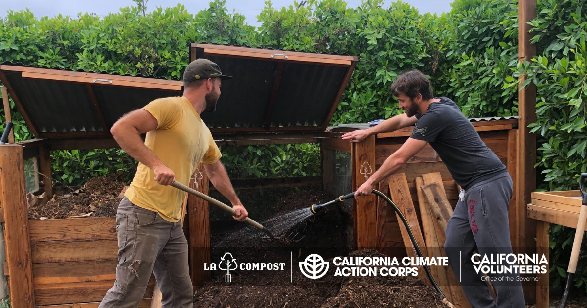 SOW Collective Backyard Farm