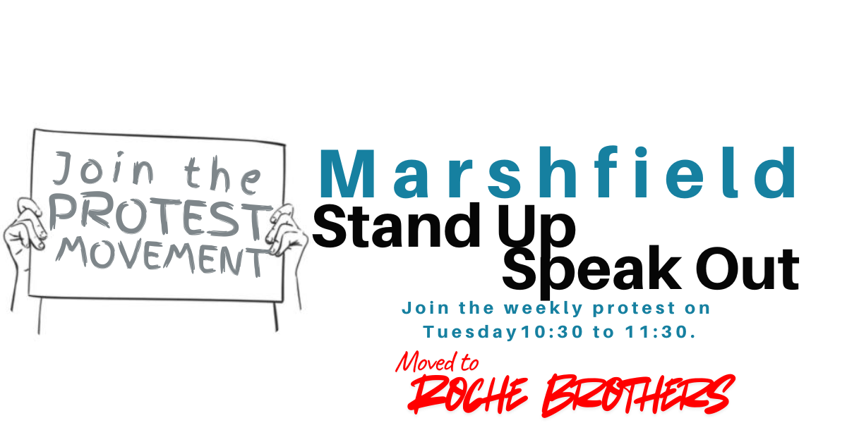 Stand up for democracy (Marshfield) image