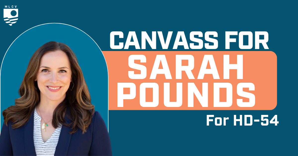 Canvass for Sarah Pounds for State House!