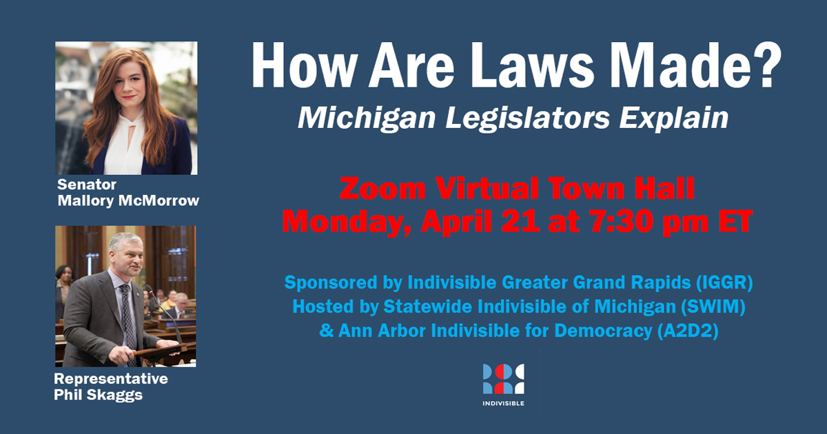 Michigan Legislators Explain How Laws Are Made organized by Indivisible