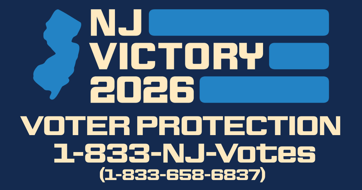 Voter Protection Volunteer image
