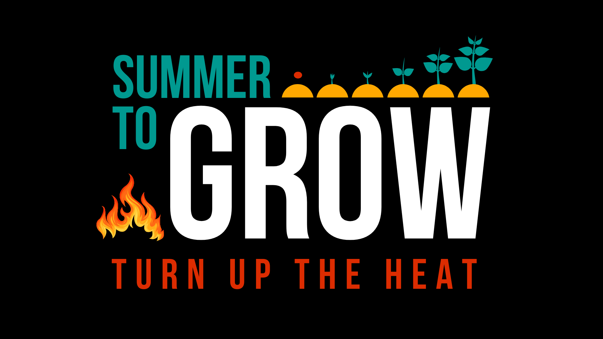 Summer to Grow, Turn up the Heat - Absorbing our People Training organized by Showing Up for Racial Justice