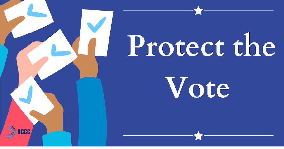 Protect the Vote · Mobilize