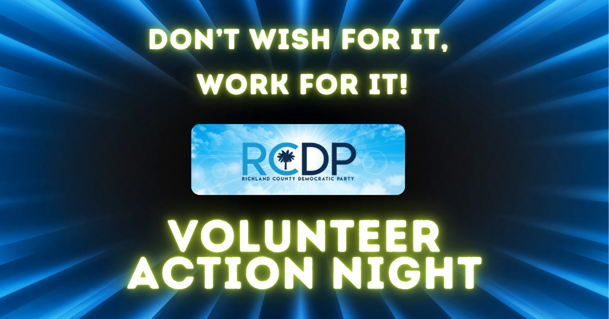 Don't Wish for it! Work for it!: Volunteer Action Night image