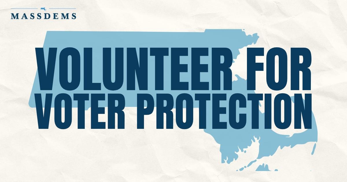 Volunteer Interest Form: Voter Protection image