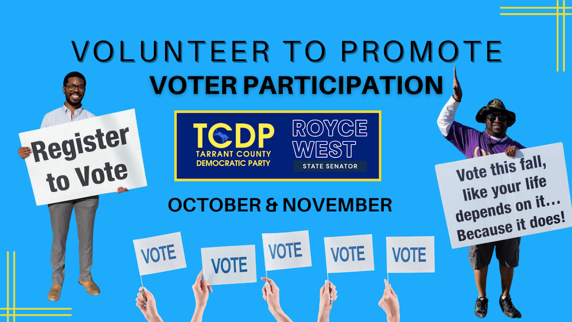 Promote Voter Participation · Mobilize