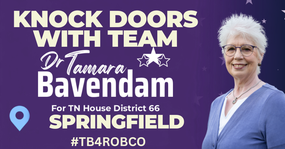 Knock Doors with Team Tamara image