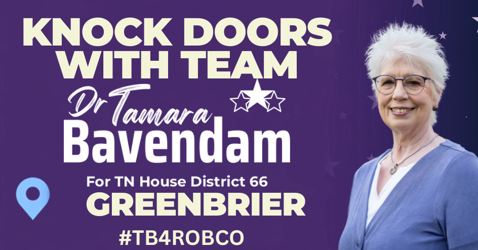 Knock Doors with Team Tamara image