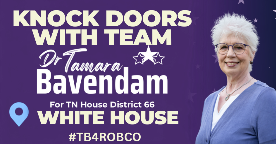 Knock Doors with Tamara image