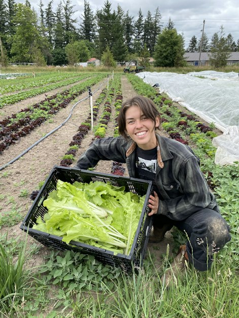 Wild Roots Farm Harvest · Urban Gleaners