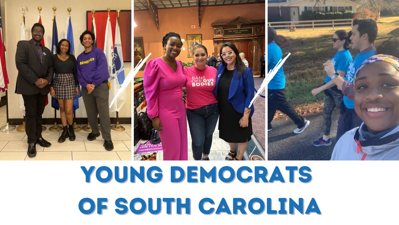 Young Democrats of Sumter, Clarendon, and Lee image