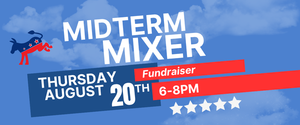 Avon Dems Midterm Mixer Backyard Benefit image