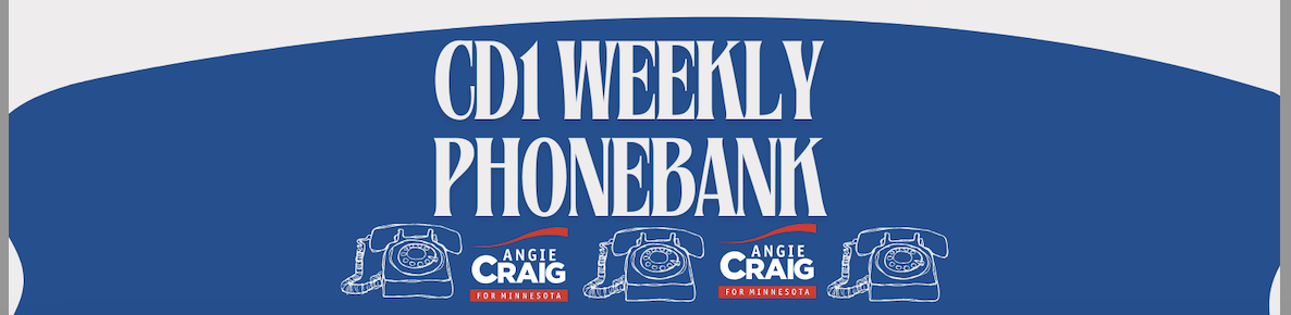 CD1 Virtual Phonebank with Team Angie
